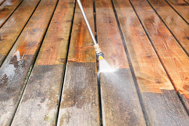 Best Sidewalk and Walkway Cleaning  in Williamsport, MD